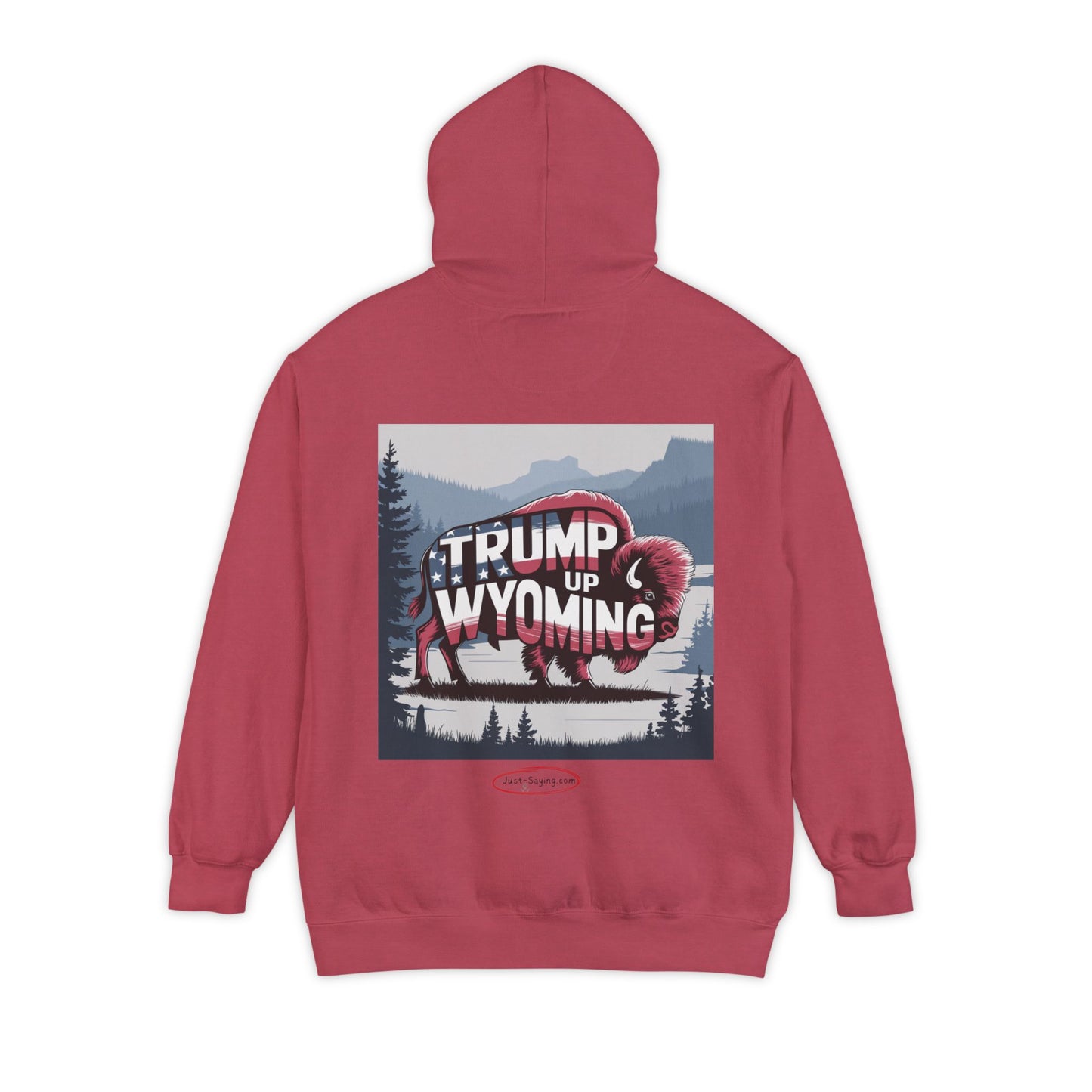 Hoodie: Trump 47 / Trump up Wyoming