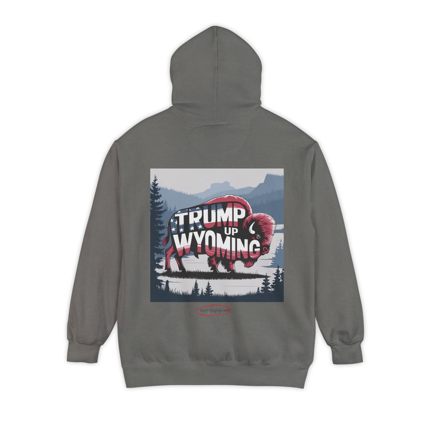 Hoodie: Trump 47 / Trump up Wyoming
